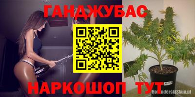 гидра Краснокаменск