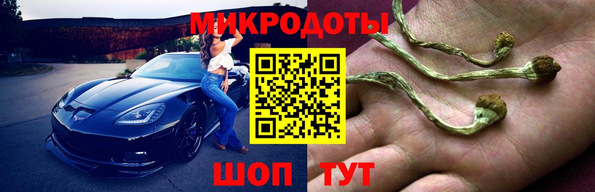 Псилоцибиновые грибы Magic Shrooms  Вход с VPN  Псилоцибиновые грибы Cubensis  Лыткарино 